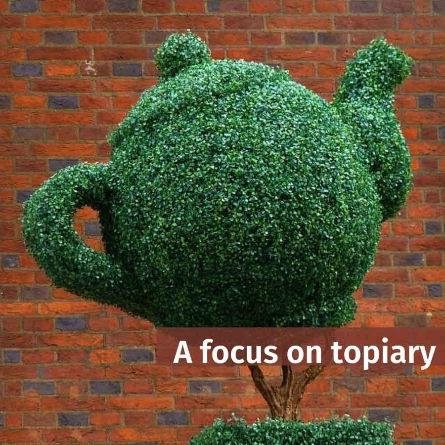 A Focus on: Topiary